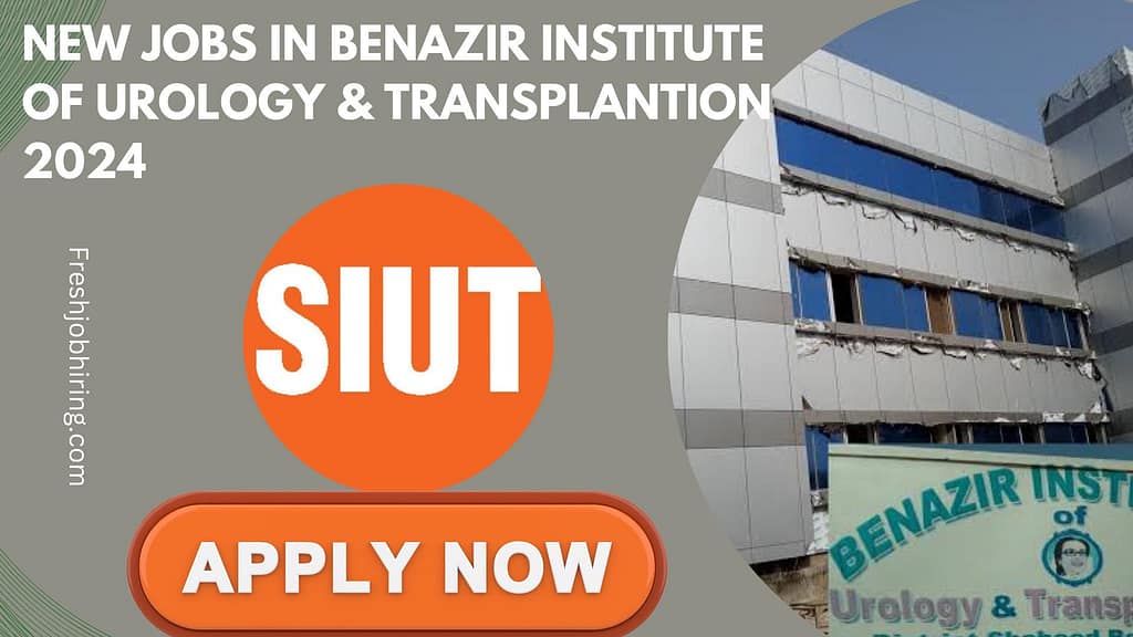 Jobs in Benazir Institute