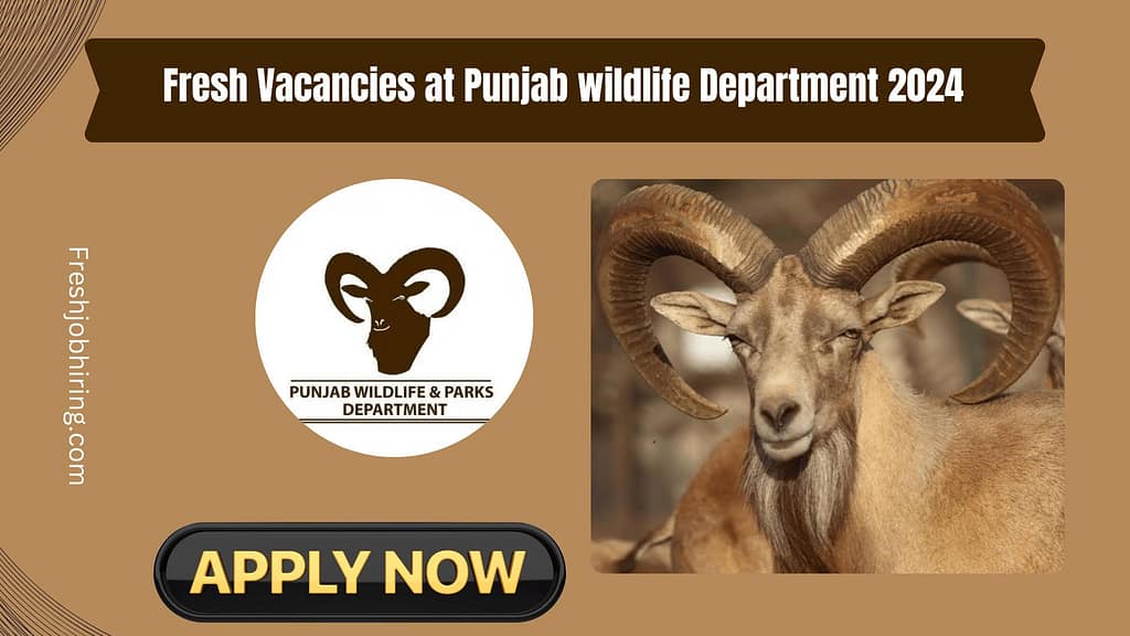 Fresh Vacancies at Punjab Wildlife 