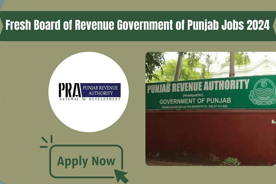 Board of Revenue Government of the Punjab Jobs