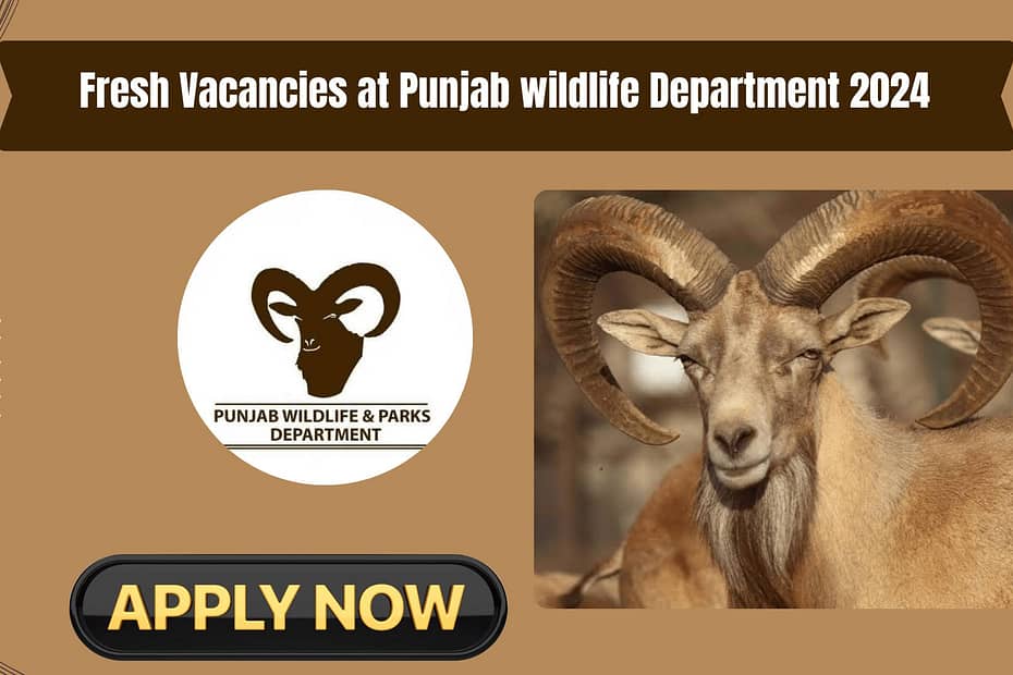 Fresh Vacancies at Punjab Wildlife